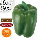 【食品サンプル】ピーマン リアル フェイクフード 野菜 ベジタブル サラダ ペパー 唐辛子 果物 造花 全長9.5cm 8個セット 人気 おすすめ アレンジ ディスプレイ テーブルコーディネート 装飾 食品模型 陳列 店内 飲食店 メニューサンプル 小物 雑貨 インテリア 本物そっくり