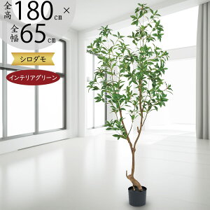フェイクグリーン 大型 おしゃれ リアル インテリアグリーン 人工観葉植物 人工樹木 観葉植物 造花 アートグリーン アートプランツ インテリア オブジェ 家具 室内 ナチュラル お洒落 癒し効果 鉢物 鉢植え 高品質 上質 本物そっくり 鉢付き 特大 シロダモ 白だも 全高180cm