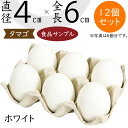 食品サンプル たまご 人気 タマゴ 卵 玉子 エッグ 白 ホワイト リアル フェイクフード おすすめ アレンジ ディスプレイ テーブルコーディネート 装飾 模型...