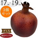 【食品サンプル】ザクロ ざくろ 石榴 リアル フェイクフード 果物 フルーツ 造花 直径7cm 3個セット 人気 おすすめ 好評 フラワーアレンジメント ディスプレイ テーブルコーディネート 装飾 食品模型 陳列 店内 飲食店 メニューサンプル 小物 雑貨 インテリア 本物そっくり