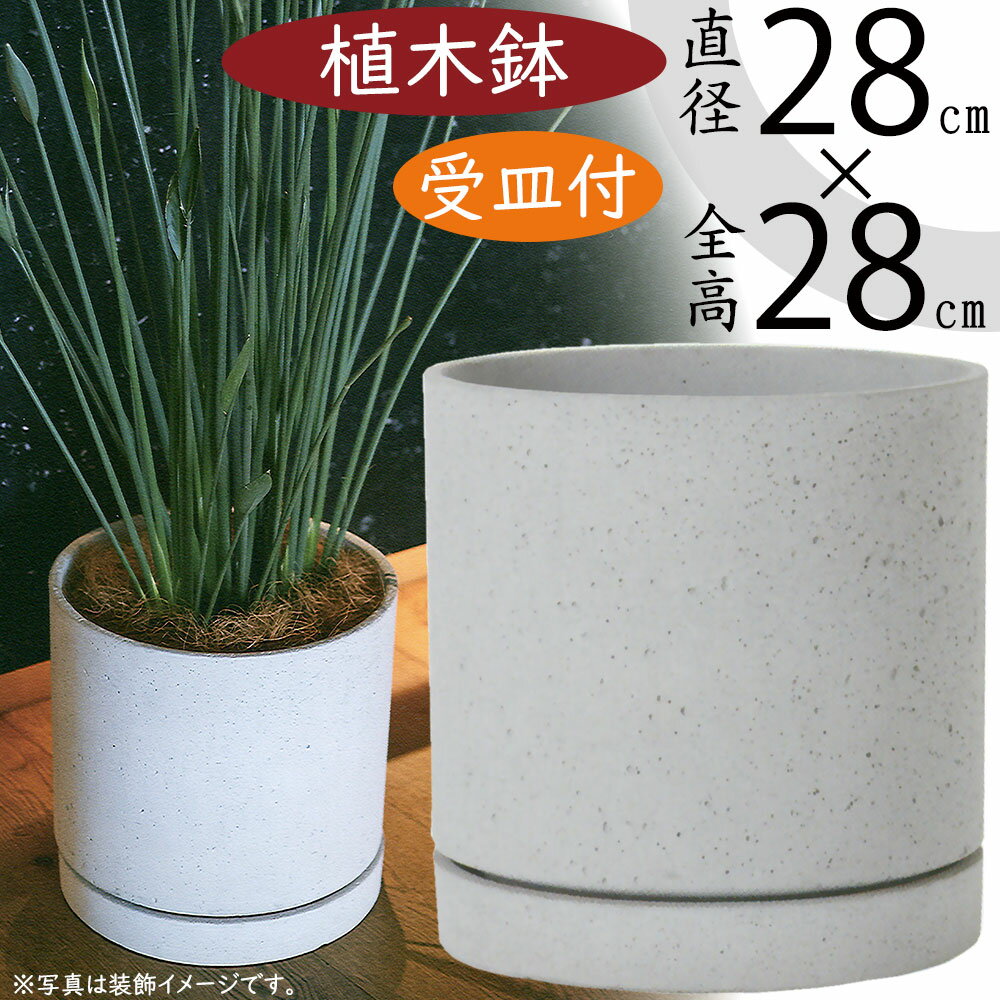 【植木鉢】おしゃれ プランター ライム シリンダー＆ソーサー 受け皿付き 人気 おすすめ 9号 直径28cm×全高28cm ファイバーセメント 底穴あり ガーデニング 園芸 鉢植え 観葉植物 花 緑 屋内 屋外 インドアポット テラス お庭 バルコニー ファサード ベランダ グレー 灰