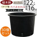 植木鉢 おしゃれ プランター 人気 黒 ブラック イタリア製 ポット 観葉鉢 園芸鉢 鉢カバー 容器 園芸用品 ガーデニング 植栽 樹木 花 緑 軽量 軽い タフ 丈夫 柔軟性あり お洒落 業務用 生産用 高品質 上質 樹脂 ポリエチレン ナーセリーポット ロータイプ 7号 30個セット