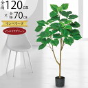 ウンベラータ フェイクグリーン おしゃれ 観葉植物 リアル 人気 インテリアグリーン アートプランツ おすすめ 人工観葉植物 人工樹木 造花 アートグリーン イ...