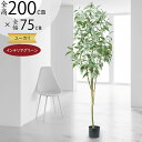 ユーカリ フェイクグリーン 大型 おしゃれ 人気 観葉植物 インテリアグリーン リアル 人工観葉植物 樹木 造花 アートグリーン アートプランツ インテリア 家...