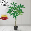 パキラ フェイクグリーン 観葉植物 人気 おしゃれ インテリアグリーン リアル おすすめ インテリア 造花 人工観葉植物 人工樹木 アートグリーン アートプラン...