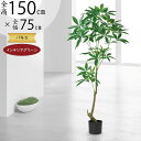 パキラ フェイクグリーン 大型 観葉植物 人気 おしゃれ インテリアグリーン リアル おすすめ インテリア 造花 人工観葉植物 人工樹木 アートグリーン アート...