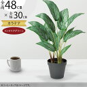 カラテア フェイクグリーン おしゃれ 人気 リアル おすすめ インテリアグリーン 人工観葉植物 造花 樹木 インテリア オブジェ アートグリーン 本物そっくり ...