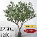 オリーブの木 大型 フェイクグリーン おしゃれ 人気 観葉植物 インテリアグリーン リアル 人工観葉植物 樹木 造花 アートグリーン アートプランツ インテリア...