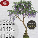 【フェイクグリーン】大型 特大 観葉植物 おしゃれ インテリアグリーン 全高200cm コアッド 大きい 人工観葉植物 人工樹木 藤 ふじ フジ 紫色 和風 花木 リアル おすすめ 人気 インテリア 造花 アートグリーン オブジェ ナチュラル 大空間 イベント ディスプレイ 室内 屋内