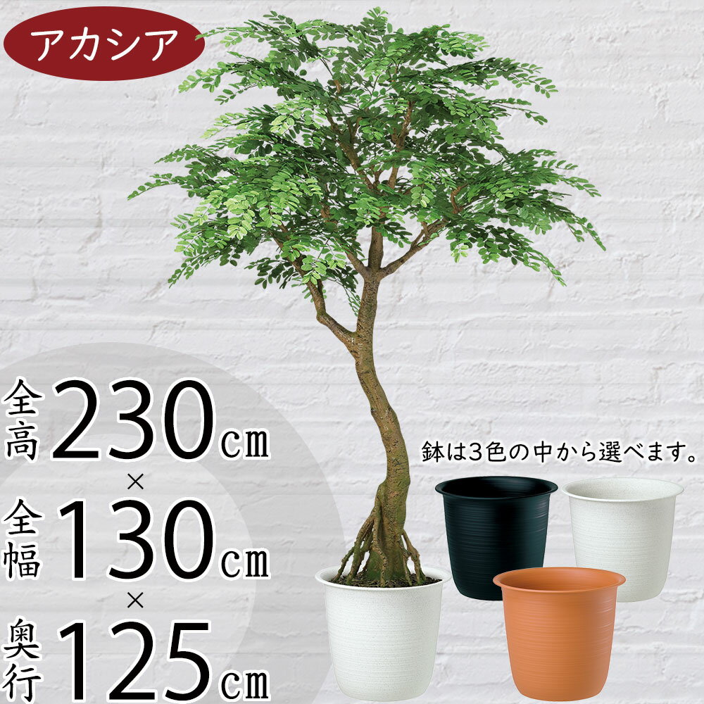 【フェイクグリーン】【法人様専用】大型 特大 観葉植物 おしゃれ インテリアグリーン 全高230cm コアッド 大きい 大きめ 人工観葉植物 人工樹木 アカシア リアル おすすめ 人気 インテリア 造花 アートグリーン オブジェ ナチュラル 大空間 イベント 室内 屋内 フロア