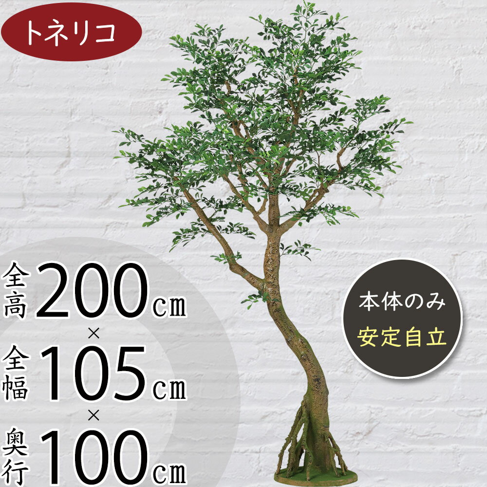 【フェイクグリーン】大型 特大 観葉植物 おしゃれ インテリアグリーン 全高200cm コアッド 大きい 人工観葉植物 人工樹木 トネリコ ゴールデンリーフ リアル おすすめ 人気 インテリア 造花 アートグリーン オブジェ ナチュラル 大空間 イベント ディスプレイ 室内 フロア