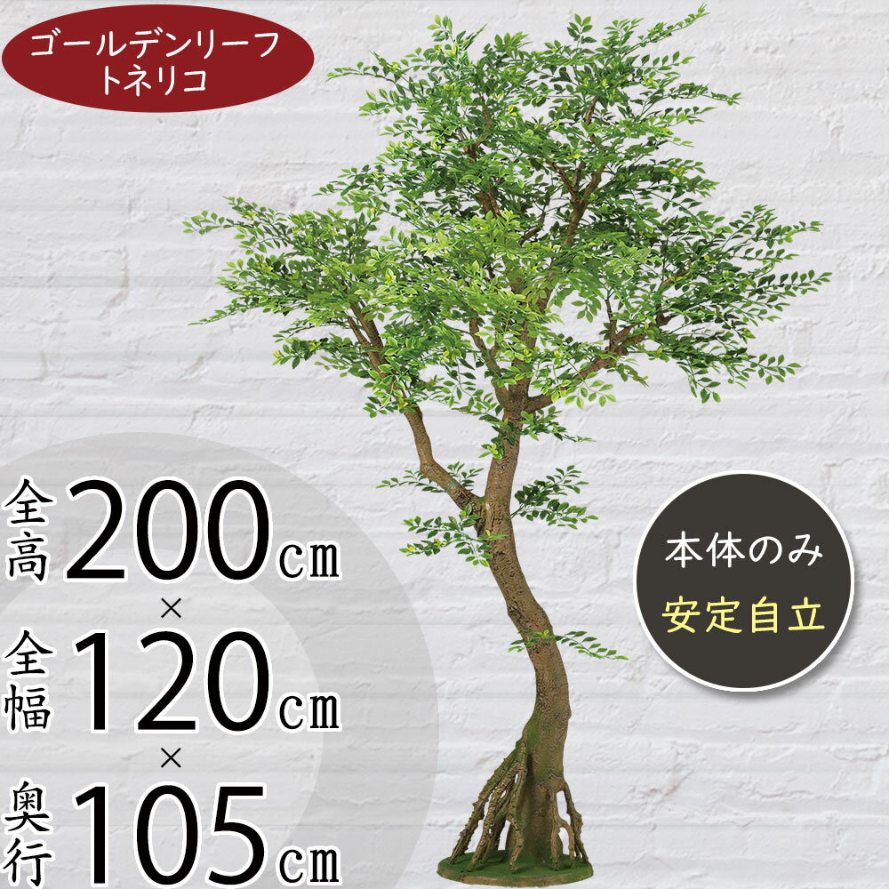 【フェイクグリーン】大型 特大 観葉植物 おしゃれ インテリアグリーン 全高200cm コアッド 大きい 人工観葉植物 人工樹木 トネリコ ゴールデンリーフ リアル おすすめ 人気 インテリア 造花 アートグリーン オブジェ ナチュラル 大空間 イベント ディスプレイ 室内 フロア