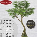 【フェイクグリーン】大型 特大 観葉植物 おしゃれ インテリアグリーン 全高200cm コアッド 大きい 大きめ 人工観葉植物 人工樹木 エバーフレッシュ ネムノキ リアル おすすめ 人気 インテリア 造花 アートグリーン オブジェ ナチュラル 大空間 イベント ディスプレイ 室内