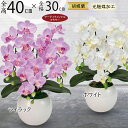 胡蝶蘭 鉢花 3本立 光触媒加工 全高40cm ピュア オーキッド おしゃれ 造花 リアル 人気 おすすめ ホワイト 白 ライラック 鉢物 花 ギフト 贈答品 ...
