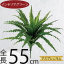 フェイクグリーン おしゃれ インテリアグリーン 人気 リアル 人工観葉植物 造花 アートグリーン アートプランツ 人工樹木 花材 葉 インテリア オブジェ フラワーアレンジメント ディスプレイ 装飾 アスプレニウム トロピカル 南国ムード リゾート演出 本物そっくり 全長55cm(4)
