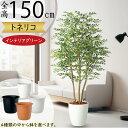 フェイクグリーン おしゃれ 人気 リアル おすすめ トネリコ インテリアグリーン 造花 人工観葉植物 人工樹木 鉢付き アートグリーン オブジェ シマトネリコ ...