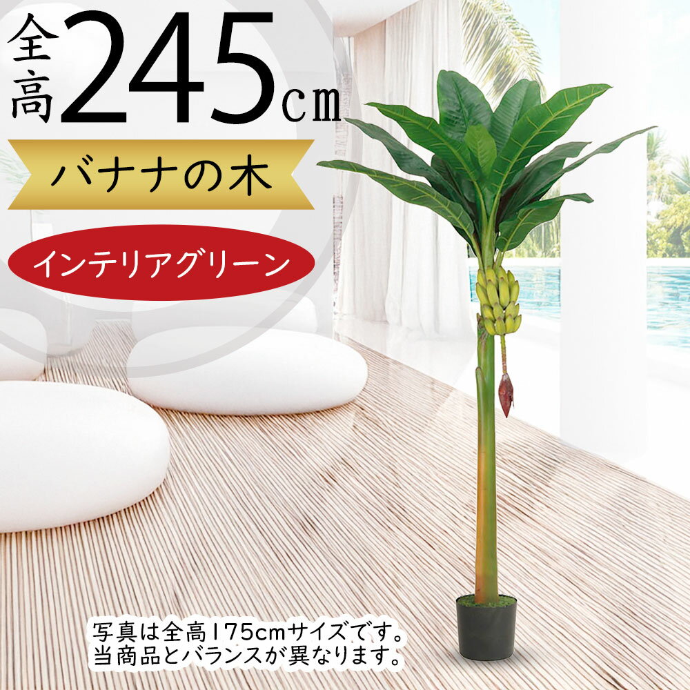楽天市場】バナナの木(人工観葉植物|造花・人工観葉植物):花 楽天市場】バナナの木(人工観葉植物|造花・人工観葉植物):花