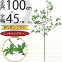 ドウダンツツジ フェイクグリーン 大型 おしゃれ 観葉植物 リアル 人気 インテリアグリーン 人工観葉植物 人工樹木 造花 アートプランツ アートグリーン イン...