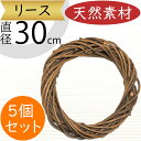 リース 天然素材 人気 壁面装飾 壁掛け用 壁面用 フラワーベース 花器 土台 ベース 資材 自然素材 花材 フラワーアレンジメント 装飾 輪形 輪型 リング ...