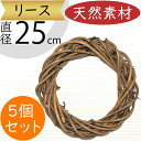 リース 天然素材 人気 壁面装飾 壁掛け用 壁面用 フラワーベース 花器 土台 ベース 資材 自然素材 花材 フラワーアレンジメント 装飾 輪形 輪型 リング ...