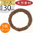 リース 天然素材 ひげづる 人気 壁面装飾 壁掛け用 壁面用 フラワーベース 花器 土台 ベース 資材 自然素材 花材 フラワーアレンジメント 装飾 輪形 輪型...