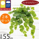 フェイクグリーン ポトス 屋外用 インテリアグリーン おしゃれ 人気 リアル 人工観葉植物 造花 アートプランツ 人工樹木 お庭 バルコニー ファサード ベランダ テラス 景観デザイン 屋外にも対応 室内可 フラワーアレンジメント ディスプレイ 花材 葉材 全長55cm 2本セット