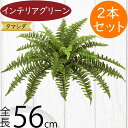 フェイクグリーン おしゃれ 人気 インテリアグリーン リアル 人工観葉植物 造花 人工樹木 アートプランツ アートグリーン 観葉植物 インドアグリーン インテリア オブジェ 室内 花材 葉材 葉物 フラワーアレンジメント ディスプレイ 装飾 ボストンファン 全長56cm 2本セット