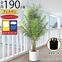 フェイクグリーン 大型 屋外用 アレカヤシ 屋外対応 おしゃれ 人気 リアル インテリアグリーン 観葉植物 人工観葉植物 人工樹木 造花 アートグリーン お洒落...