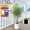 フェイクグリーン 大型 屋外用 アレカヤシ 屋外対応 おしゃれ 人気 リアル インテリアグリーン 観葉植物 人工観葉植物 人工樹木 造花 アートグリーン お洒落...