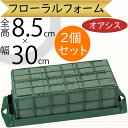 オアシス スポンジ 吸水 給水 人気 おすすめ 生花用 フォーム デコレット フローラルフォーム 生け花 緑 フラワーアレンジメント 花材 資材 土台 ベース ...