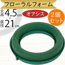 オアシス スポンジ 吸水 給水 人気 おすすめ 生花用 フォーム リース 丸い 丸形 丸型 円型 円形 輪型 輪形 リング 20cm フローラルフォーム 生花 ...