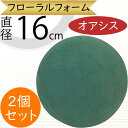 オアシス スポンジ 吸水 給水 人気 おすすめ 生花用 フォーム 球型 球形 丸い 丸形 丸型 円型 円形 ボール オアシス球 16 フローラルフォーム 生け花...