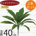 フェイクグリーン タニワタリ おしゃれ インテリアグリーン リアル 人工観葉植物 観葉植物 造花 人工樹木 アーティフィシャルフラワー 花材 葉 フラワーアレン...