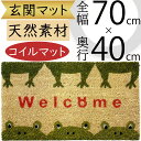 玄関マット おしゃれ 人気 インテリア 屋外用 コイルマット かえる アニマル カエル 蛙 ウェルカム 天然素材 自然素材 ココヤシの繊維 コイヤーマット マット 雑貨 家具 キュート 可愛い ウエルカム 新築祝い 引越し祝い ギフト プレゼント 自宅 店舗 全長70cm×全幅40cm
