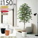 フェイクグリーン おしゃれ 人気 ベンジャミン フィカス ベンジャミナ インテリアグリーン 観葉植物 人工観葉植物 造花 人工樹木 アートグリーン インテリア ...