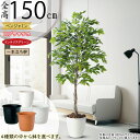 フェイクグリーン おしゃれ 人気 ベンジャミン フィカス ベンジャミナ インテリアグリーン 観葉植物 人工観葉植物 造花 人工樹木 アートグリーン インテリア ...