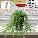 フェイクグリーン 多肉植物 おしゃれ 人気 リアル おすすめ 小型 小さい 小さめ インテリアグリーン グリーンネックレス 人工観葉植物 人工樹木 造花 アート...