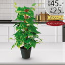 フェイクグリーン おしゃれ ポトス 観葉植物 支柱 ヘゴ タワー 人気 リアル インテリアグリーン 人工観葉植物 人工樹木 造花 緑 本物そっくり オブジェ イ...