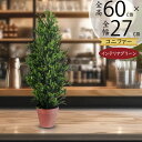 フェイクグリーン ピセアグラウカ カナダトウヒ 人気 リアル インテリアグリーン 人工観葉植物 人工樹木 観葉植物 造花 緑 アートプランツ アートグリーン イ...