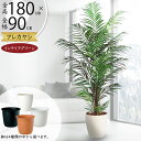 フェイクグリーン 大型 アレカヤシ インテリアグリーン おしゃれ 人気 人工観葉植物 造花 人工樹木 アートグリーン ヤシ類 ヤシの木 インテリア オブジェ ギ...