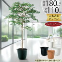もみじ モミジ フェイクグリーン 大型 おしゃれ 人気 リアル インテリアグリーン 人工観葉植物 人工樹木 観葉植物 造花 アートグリーン アートプランツ イン...