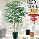 もみじ モミジ フェイクグリーン 大型 おしゃれ 人気 リアル インテリアグリーン 人工観葉植物 樹木 観葉植物 造花 アートグリーン アートプランツ インテリ...