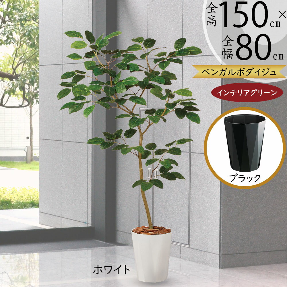 楽天市場】フェイクグリーン(種類(植物)ベンガルボダイジュ 楽天市場】フェイクグリーン(種類(植物)ベンガルボダイジュ