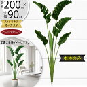 ストレリチア ストレチア フェイクグリーン 大型 おしゃれ 人気 おすすめ リアル インテリアグリーン 人工観葉植物 造花 人工樹木 観葉植物 アートグリーン ...