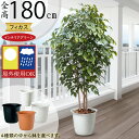 フェイクグリーン 屋外用 屋外対応 大型 おしゃれ 人気 リアル インテリアグリーン 観葉植物 人工観葉植物 人工樹木 造花 緑 アートグリーン フィカス ベン...