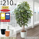 フェイクグリーン 屋外用 屋外対応 大型 おしゃれ 人気 リアル インテリアグリーン 観葉植物 人工観葉植物 人工樹木 造花 緑 アートグリーン フィカス ベン...