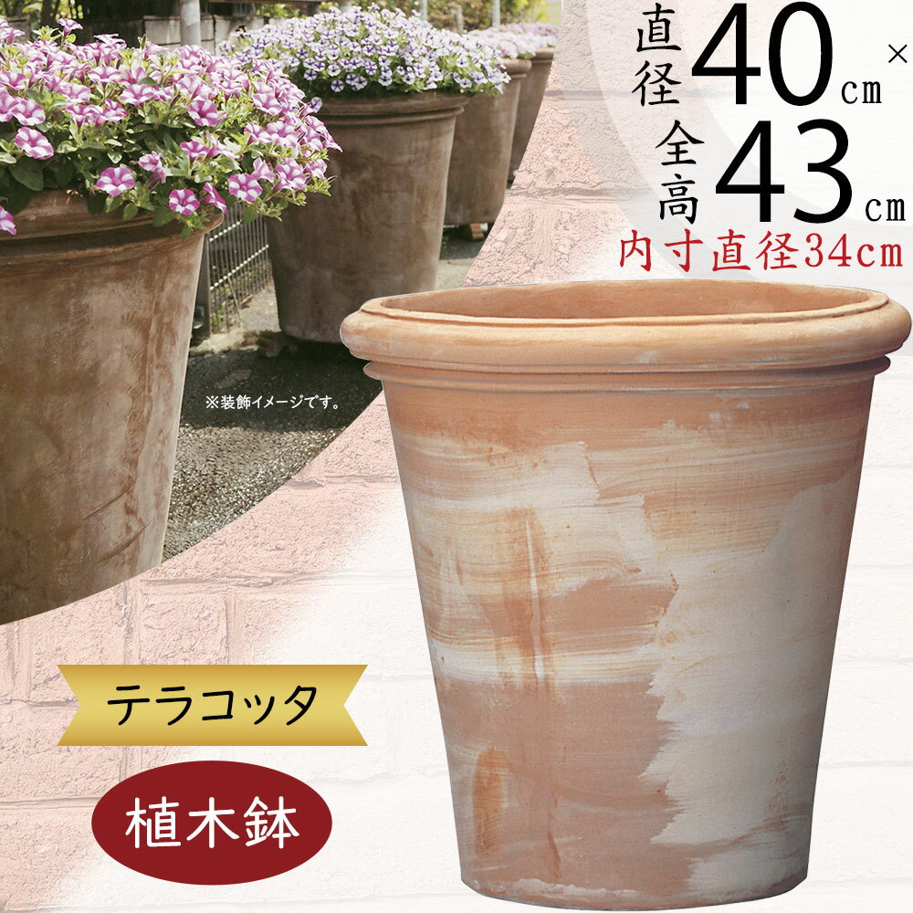 ƥ饳å ȭ 緿  ͵ ץ󥿡  տʪ ǾƤ ȭ ȭ ƫȭ  ݥå 饦 ǥ˥...