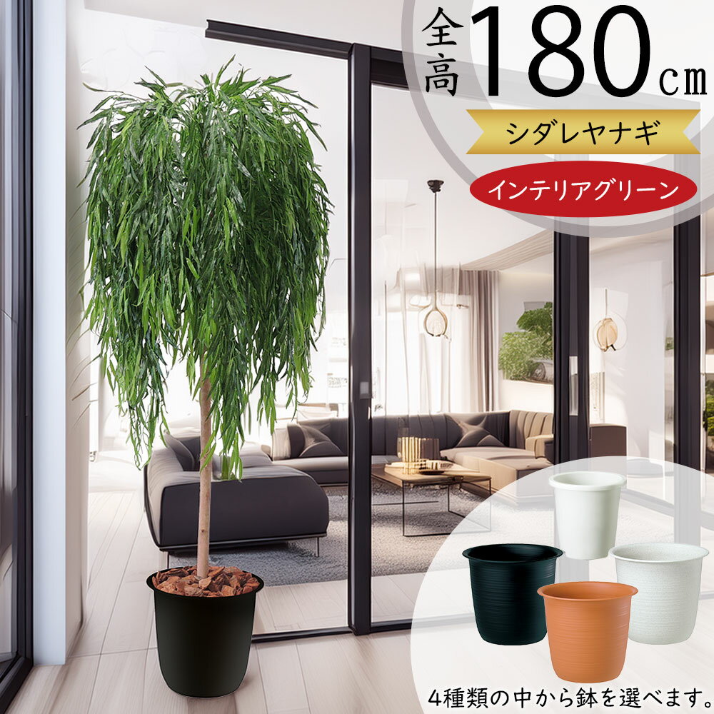 しだれ柳 シダレヤナギ フェイクグリーン 大型 インテリアグリーン 人工観葉植物 アートプランツ 樹木 造花 アートグリーン インテリア 家具 お洒落 ギフト ...