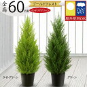フェイクグリーン 屋外用 屋外対応 おしゃれ ゴールドクレスト コニファー 人気 リアル インテリアグリーン 観葉植物 人工観葉植物 人工樹木 造花 アートグリ...