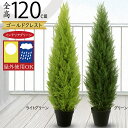 フェイクグリーン 屋外用 屋外対応 おしゃれ ゴールドクレスト コニファー 人気 リアル インテリアグリーン 観葉植物 人工観葉植物 人工樹木 造花 アートグリ...